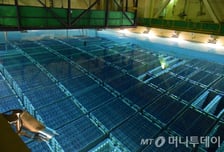 정부, IAEA에 "핵잠 도입, 우라늄 농축 권한 확대…NPT 의무 완전이행"