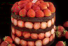 1년 기다린 '그 케이크'…크리스마크 라인업 공개 "올해는 꼭 오픈런"