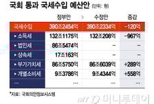 내년 국세수입, 당초 정부안보다 120억원 덜 걷힐듯
