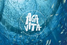 "참다랑어도 AI로 키운다"…더벤처스, '스마트양식' 아가비타 시드 투자