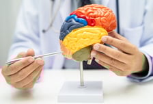 머리 다쳐 잃은 기억, 또 다쳐 되찾았다...45년만에 가족 찾은 '기적의 남성'