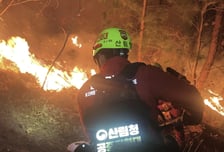 2026년 산림분야 예산 '3조 시대' 개막…산림재난 국가안보수준 관리