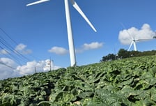 급증하는 AI 전력수요, '풍력확대' 카드 꺼내든 정부…경쟁력 확보 관건