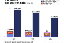 배당소득 분리과세 훈풍 부는데… 금융지주 '남 일'?