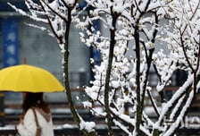 서울 최대 5㎝ 첫눈 내린다…영하 10도 강추위 속 '퇴근길' 폭설·결빙 우려