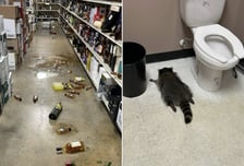 술병 깨고 만취한 채 화장실서 뻗었다…상점 난장판 만든 범인 정체는