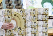 "팔 수가 없어요" 사놓은 미국 주식 꽁꽁...환율 높인 뜻밖의 이유