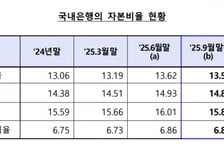 환율상승에 은행권 자본비율 소폭 하락…"규제비율은 넉넉히 상회"