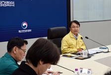 "국민 출근 불편 없어야"…행안부, 대설 대처상황 점검 회의 개최