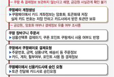 쿠팡서 계좌·카드정보 입력했는데?..불안한 국민, 조사권 없는 금감원