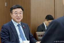 체코·불가리아에 전수하는 韓 행정혁신…"AI·재난관리 협력확대"