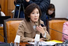 나경원, 조진웅 논란에 "대통령 포함 '공직자 소년기 흉악범죄 공개법' 발의"