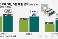 효자 된 '범용 D램'… 삼성, 왕좌 되찾는다
