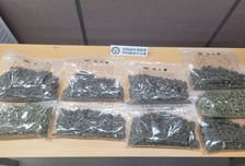 과자 봉지에 숨긴 대마…태국서 밀반입한 일당 덜미