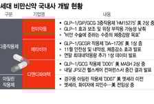 비만약 시장, '다중작용·아밀린' 전장 확대에 국내사도 추격 고삐