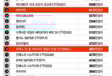 하락 공포 넘겼나…비트마인 다시 찾는 개미들