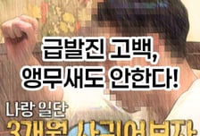 [곰국툰] 또 차였어?...앵무새들의 연애 필승 공식