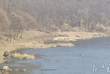 영동 금강변서 시신 발견…"두 달 전 천태산 실종 80대 추정"