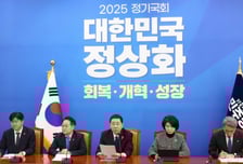 내란재판부 두고 與 "국민의힘, 내란 옹호 아니면 대안 제시하라"