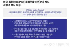 [단독]'특허 괴물'에 더 유리...美 특허무효심판 개정에 삼성 "반대"