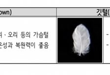 "어쩐지 춥더라"...30만원 미만 '구스다운' 24종 털어보니 '오리털' 수두룩