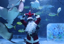 [오늘 날씨] 차차 추위 풀려 낮 '포근'…내일 비 또는 눈 소식