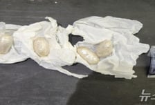 "마약 덩어리가 항문서 쏙"...한국 온 네덜란드 노숙자 수법에 '경악'