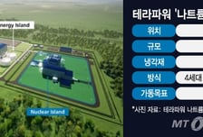 "SMR 한미협력, 경쟁력 강화·탈탄소화 기회"