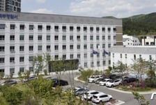 "생활고로 목숨 끊으려다" 치매 노모 먼저 살해...50대 아들 구속