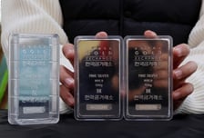 "내년엔 100달러"…금보다 더 뛴 은, 사상 첫 온스당 60달러 돌파