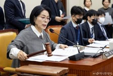 '허위조작정보 근절법' 與 주도로 과방위 소위 통과…손해 5배까지 배상