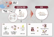 치매 유발 물질 쌓여...'깜빡깜빡' 코로나 후유증, 약 나올까?