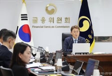 '모험자본 확대' 기조에 발행어음 인가받은 하나·신한...삼성·메리츠는?