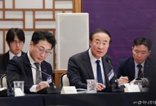 AI 육성 보고회… 삼성·SK "반도체 투자환경 개선 시급"