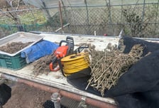 '농사짓는 척' 산속 비닐하우서 대마 키웠다…10억원어치 '와르르'