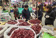 '중국산' 배추·고춧가루로 김장할 뻔…'국내산 둔갑' 꼼수 딱 걸렸다