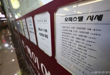 "여긴 대출 안 막혔어" 아파트 대신 우르르...매맷값 쭉쭉 상승?