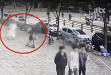 2세 딸에 '중학생 킥보드' 돌진, 막아선 엄마 중태...대여업체 입건