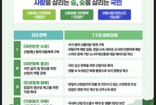 산림청, 내년 국민안전 수호·국민행복 증진·산림산업 혁신 중점 추진