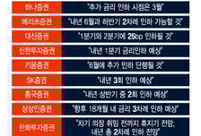 '매'인가 봤더니… '비둘기' 였다