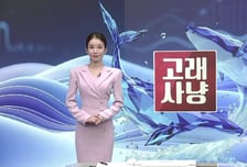 [고래사냥] '슈어소프트테크, 강원에너지, LS마린솔루션, KCTC!' 오늘 장 궁금종목 분석