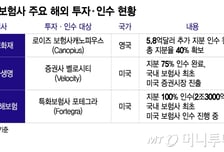 국내는 한계, 해외는 기회…보험사 내년 실적 가르는 글로벌 전략