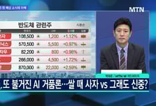 [문제적 섹터] 반도체주, AI 거품론 부각될 때마다 담아라?