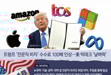 "전문직 비자 수수료 1억4000만원" 트럼프 인상에 美 19개주 소송