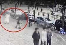 2살 딸에 '중학생 킥보드' 돌진, 몸 던져 구한 엄마..."기억 잃었다"