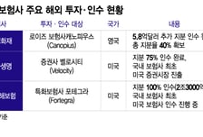 국내에선 한계, 해외서 기회찾는 보험