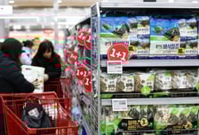 K-조미김 美 관세 면제 소식에…사조씨푸드 강세