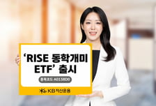 개인투자 트렌드+모멘텀 전략…'RISE 동학개미' ETF 출시