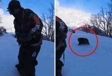 스노보드 돌린 순간..."곰 튀어나왔다" 일본 스키장 아찔한 추격전