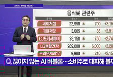 [메가사이클] 'AI 버블론'에 반도체주 무너질까?